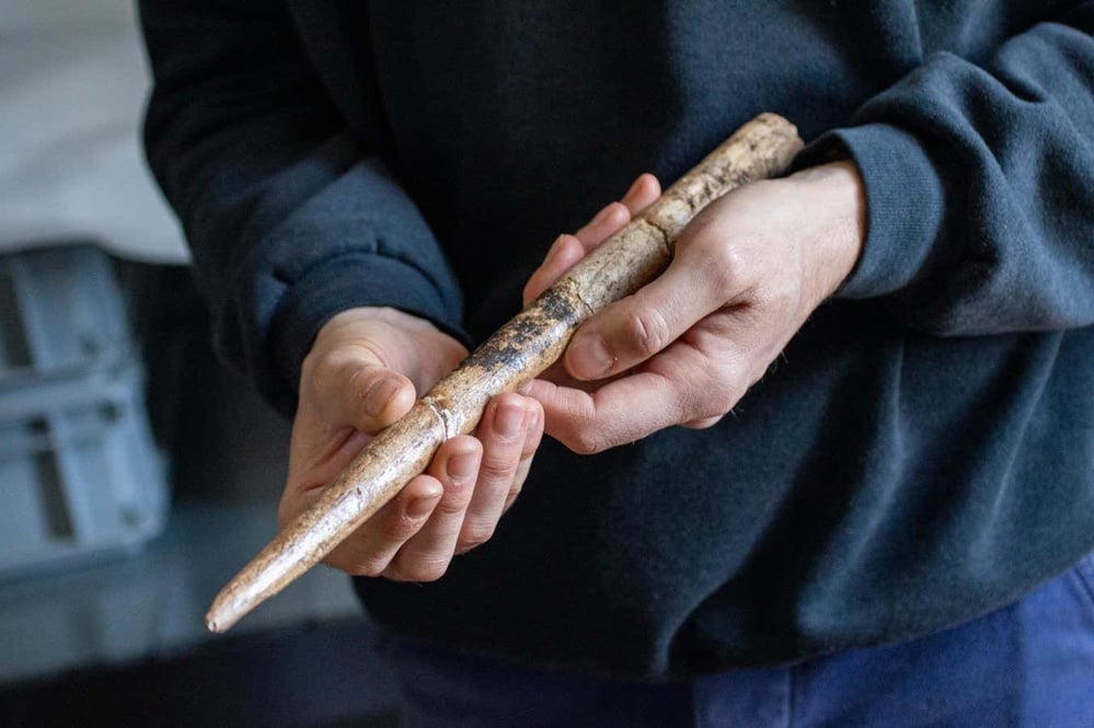 Discoveries reframe understanding of human and prehistoric life