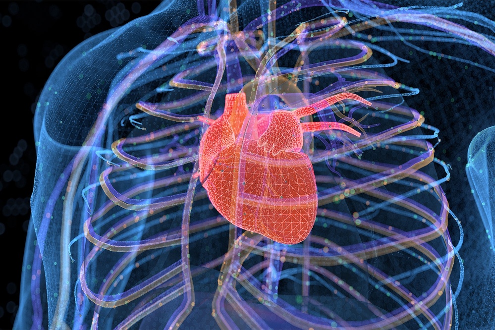 Daily marijuana use can lead to a 34% higher risk of heart failure Balanced News