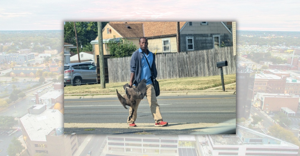 No Evidence Haitian Immigrants Are Eating Ducks, Geese or Pets in Springfield, Ohio