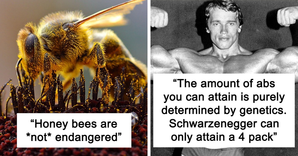 25 Fascinating Facts That People Only Learned Now And Just Had To Share With Others