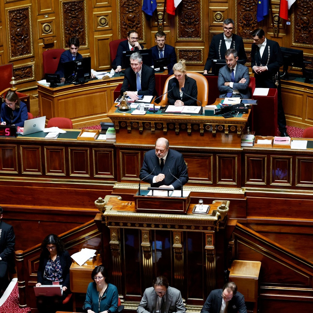 French Senate Votes to Enshrine Abortion Access in Constitution