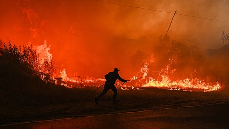 Wildfires in Portugal lead to seven reported deaths and severe environmental destruction.