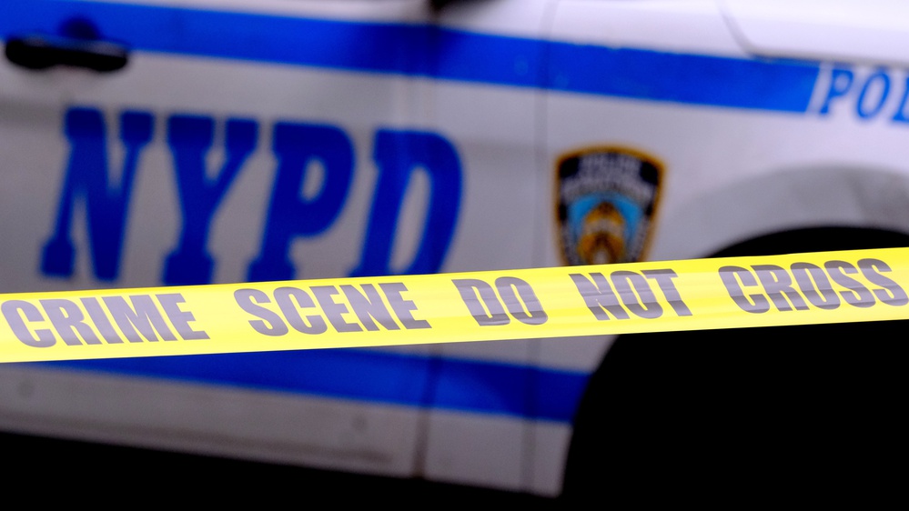 Bronx boys, both under age 3, fatally stabbed in Mount Hope; mother in NYPD custody