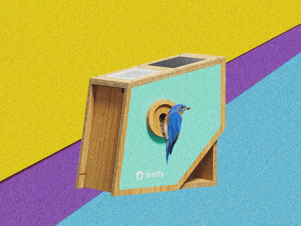 Birdfy Nest Polygon Smart Birdhouse Review: Primed for Pictures