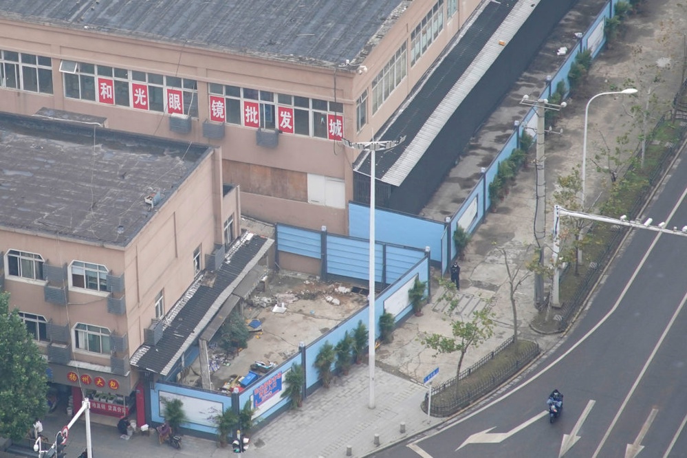 Genetic analysis of animals in Wuhan market may help find COVID-19's origin