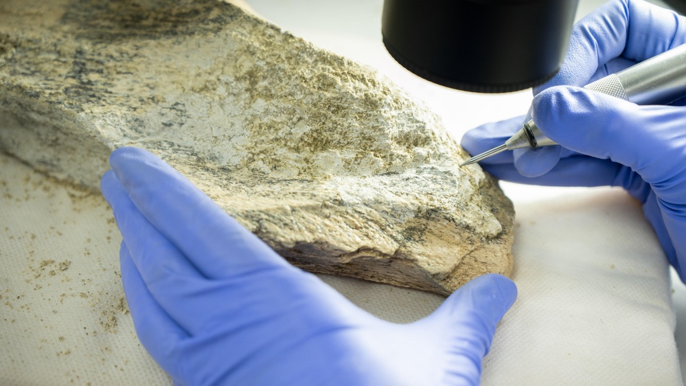 1.5 million-year-old bone tools crafted by human ancestors in Tanzania are oldest of their kind
