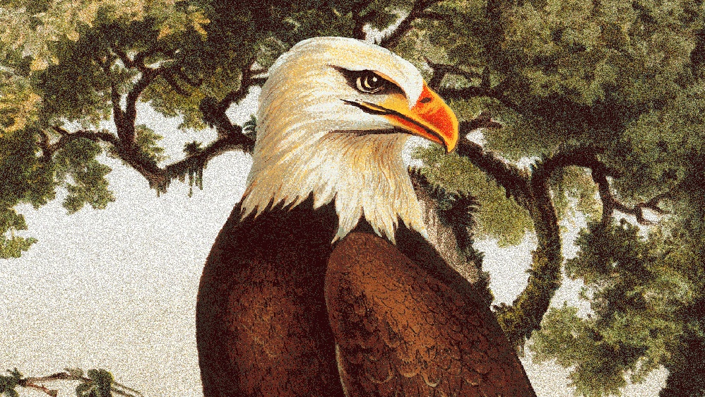 The Debate That American Conservationists Should Be Having