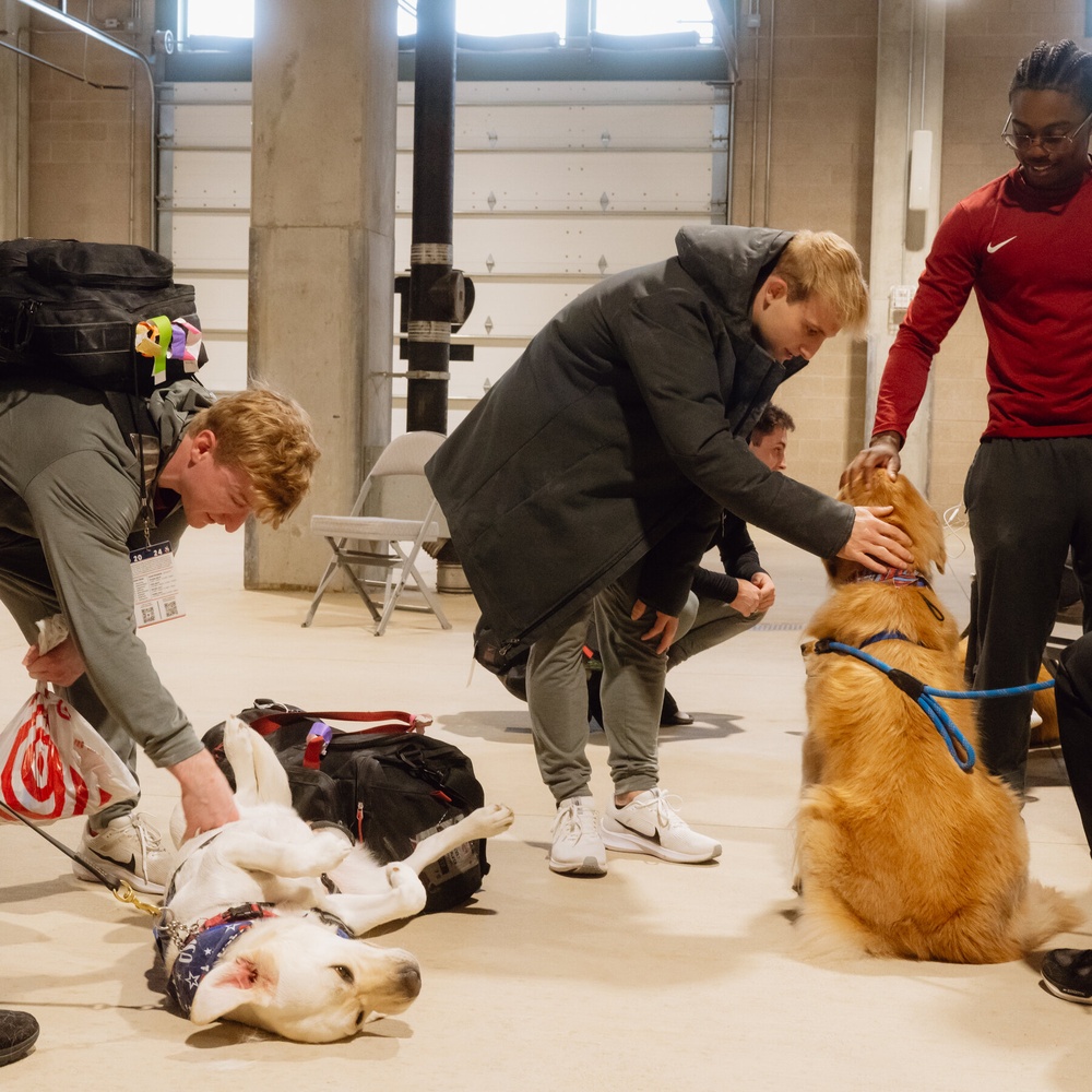 U.S.A. Gymnastics Uses Therapy Dogs at Olympic Trials to Help Athletes' Mental Health