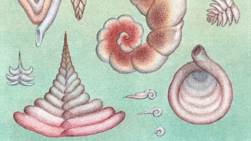 What a Microscopic Creature Taught Me About Parenting