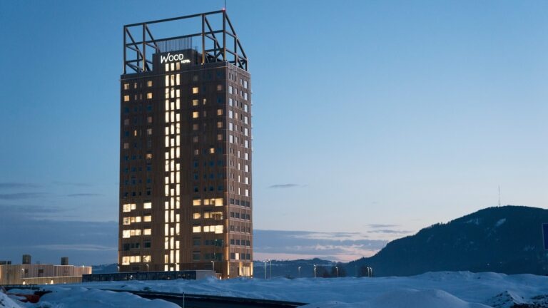 Sustainable building effort reaches new heights with wooden skyscrapers