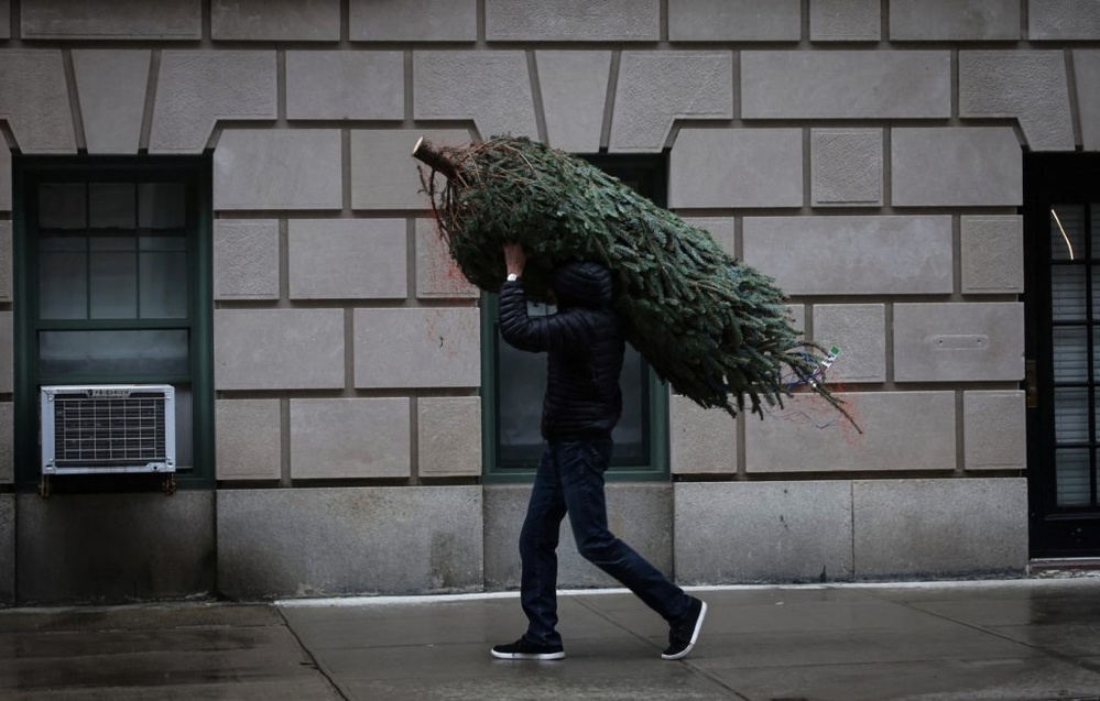 Seasonal vendors bring Christmas trees to the sidewalks of New York City