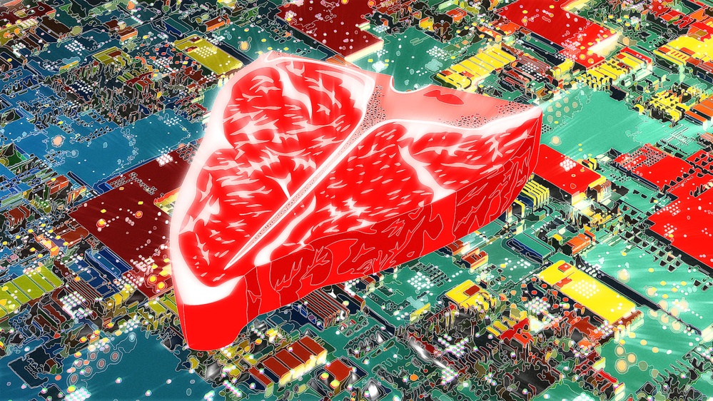 Fake meat's false promise: Why Silicon Valley can't hack the future of food