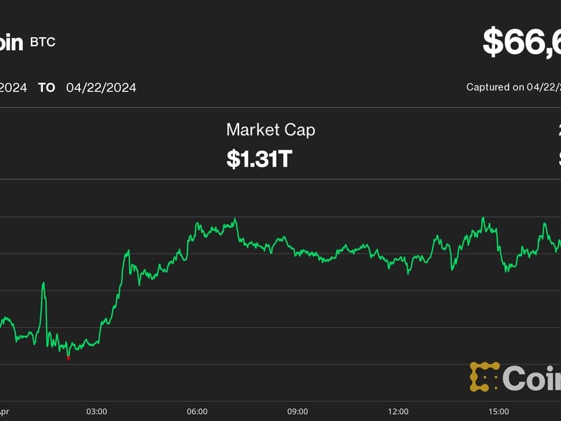 Bitcoin Eyes $67K After Halving as Altcoins Primed for Short Squeeze, Hedge Fund Says