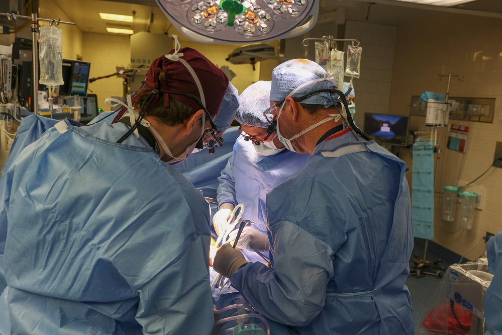 Gene-edited pig kidney successfully transplanted into human.