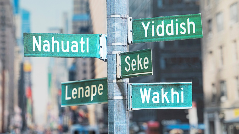 Endangered languages find refuge in diverse neighborhoods