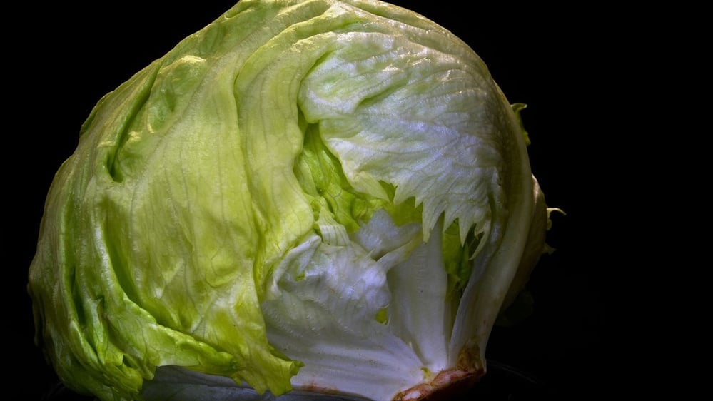 FDA found Cyclospora in shredded iceberg lettuce amid outbreak investigation