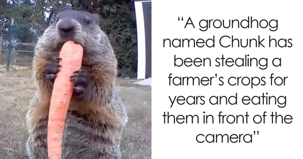 47 Unbelievably Interesting Stories And Facts To Show You A Different Side Of Reality