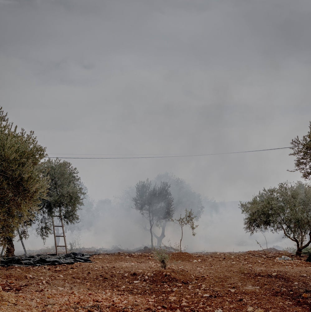Israeli police arrest 10 suspects after settler attacks injured a Washington Post photographer and European diplomats during the West Bank olive harvest