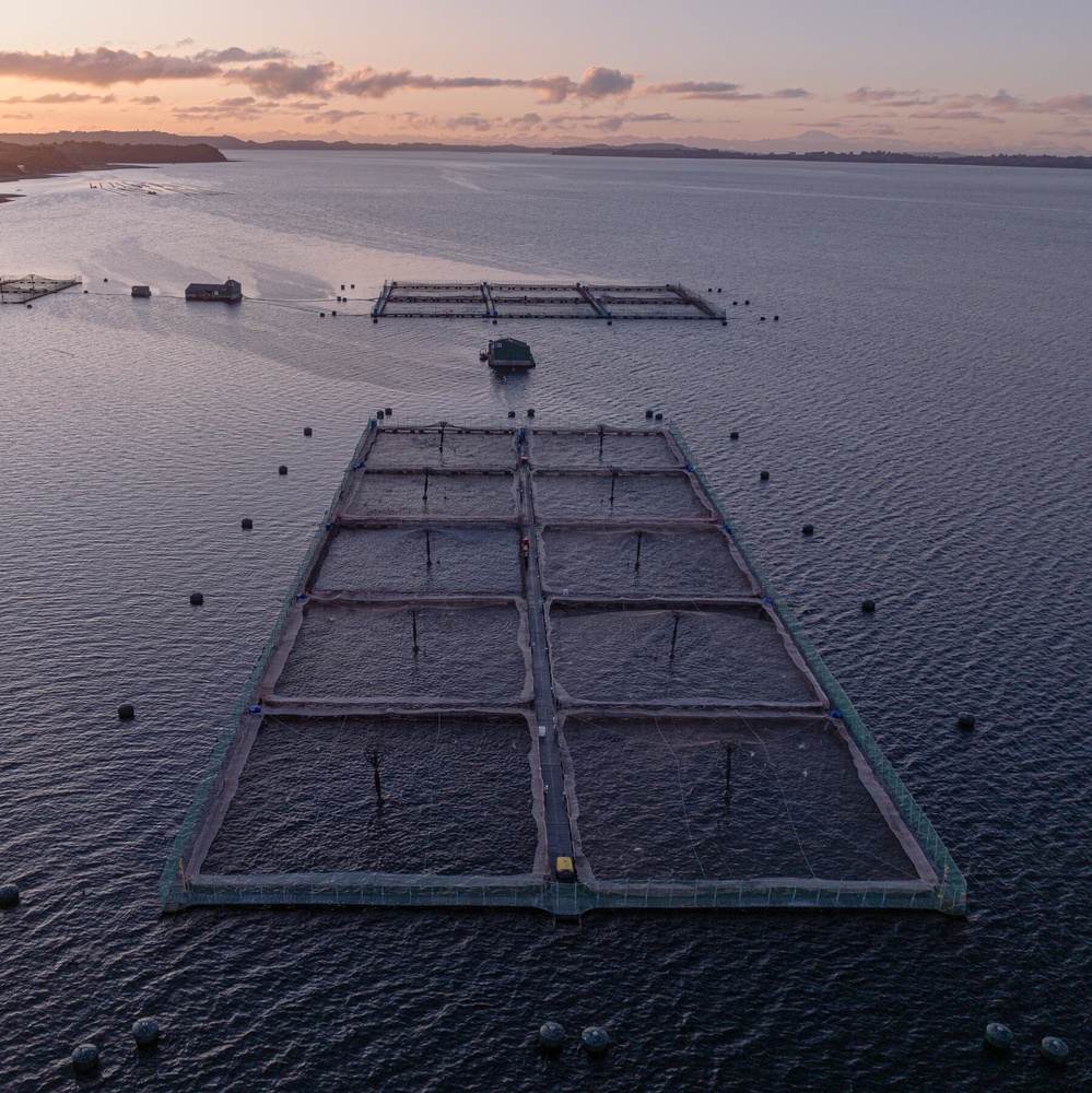 Salmon Farms in Patagonia Face Growing Opposition