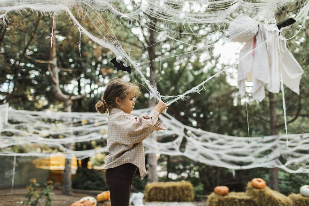 Are Decorative Halloween Cobwebs Hazardous to Wildlife?