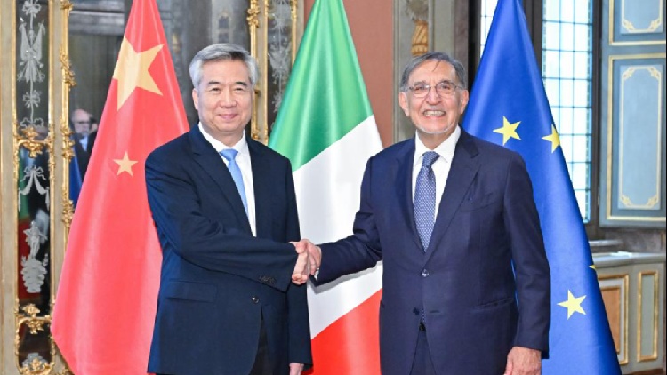 Senior Chinese official vows to further ties with Italy