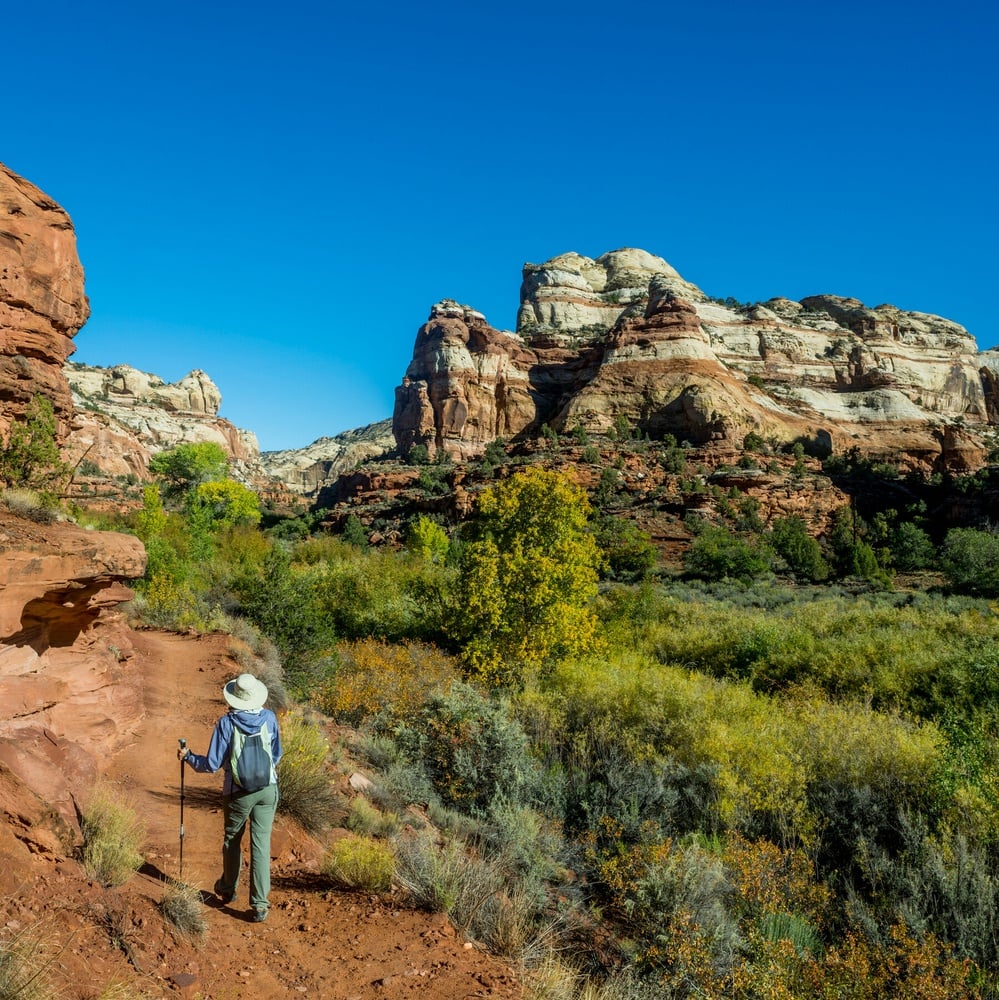 Source: https://www.nytimes.com/2026/07/13/climate/trump-national-monuments-utah.html