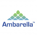 AMBA Forecast + Options Trading Strategies