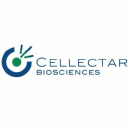 Cellectar Biosciences Forecast
