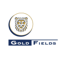 Gold Fields Forecast