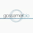 Gossamer Bio Forecast