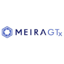 MeiraGTx Forecast
