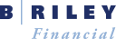 B. Riley Financial Inc 6.375 % Notes 2020-28.02.25 Forecast