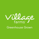 Village Farms International Forecast