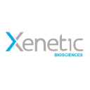 Xenetic Biosciences Forecast