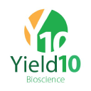 Yield10 Bioscience Forecast